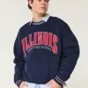 Boxy University of Illinois Fighting Illini Graphic Crew Sweatshirt,Boxy University of Illinois Fighting Illini Graphic Crew Sweatshirt