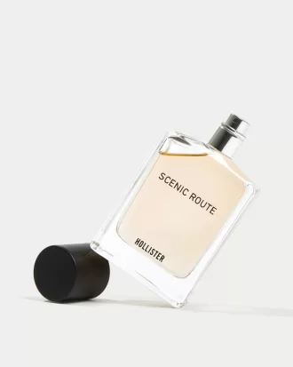 Scenic Route Cologne,Scenic Route Cologne